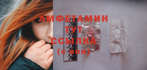 сатива Ельня