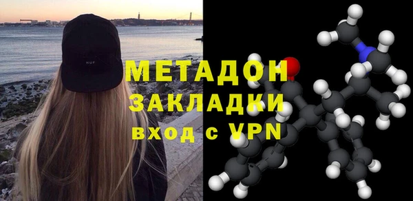 сатива Ельня