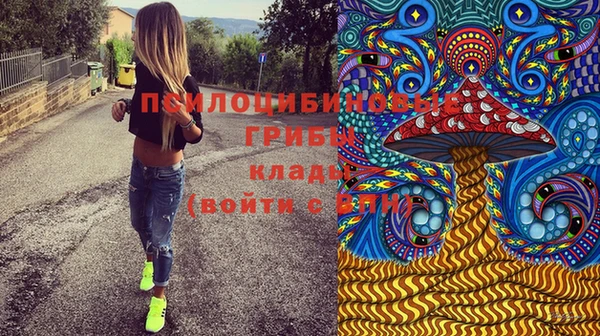 скорость mdpv Елизово