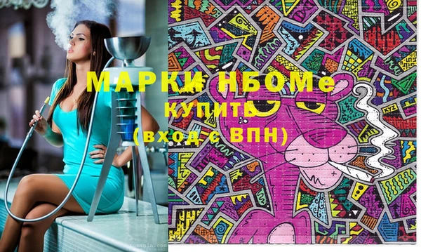 сатива Ельня