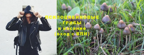 сатива Ельня
