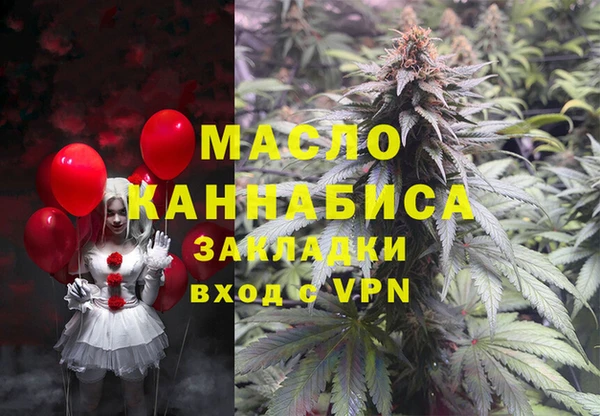 сатива Ельня