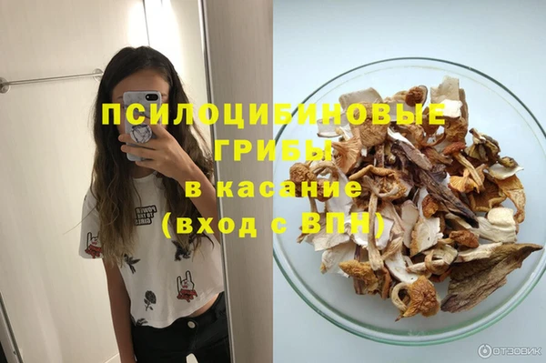 сатива Ельня