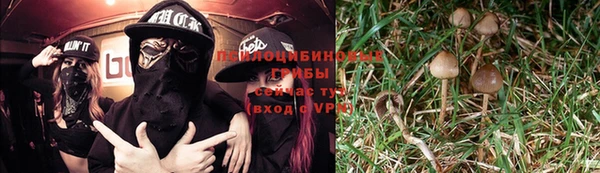 apvp Елабуга