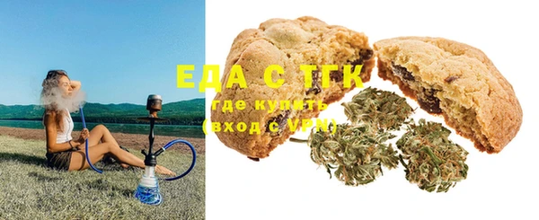 сатива Ельня