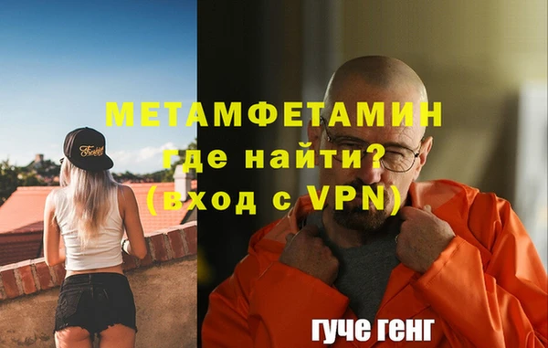 сатива Ельня