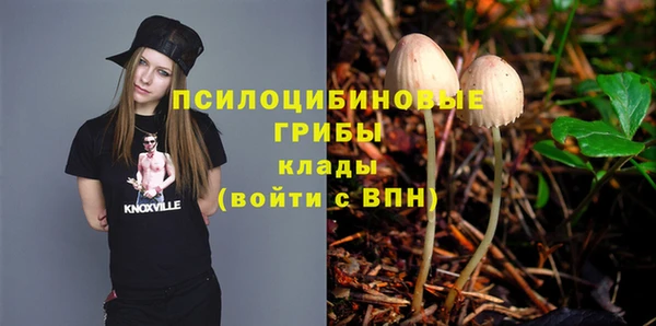 сатива Ельня