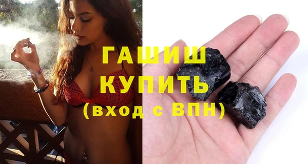 сатива Ельня