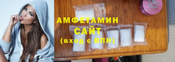 сатива Ельня