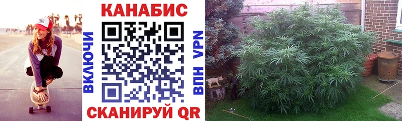 Каннабис VHQ Инта